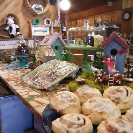 Bed and Breakfast No View Farm Rumford Exteriér fotografie