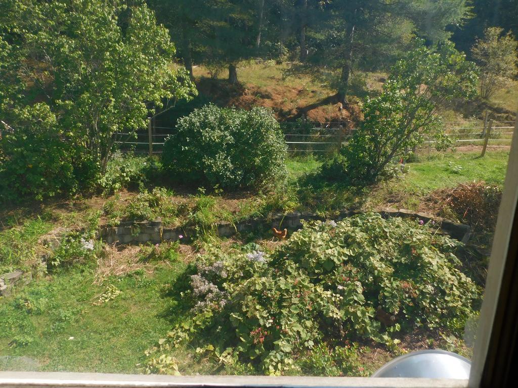 Bed and Breakfast No View Farm Rumford Exteriér fotografie