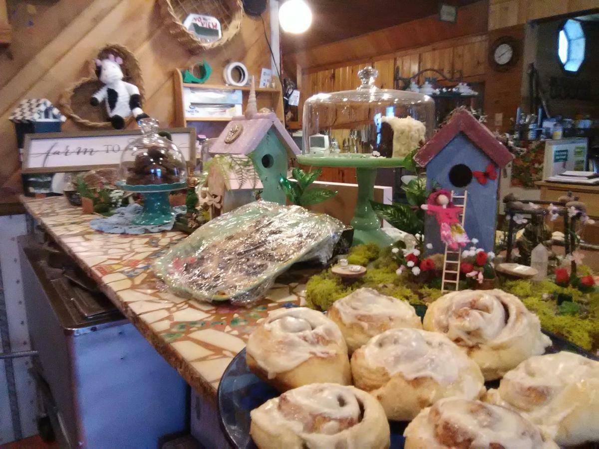 Bed and Breakfast No View Farm Rumford Exteriér fotografie